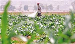 شروط جديدة لاستبدال العمالة الوافدة في القطاع الزراعي