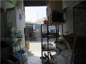 السماح لمحلات تربية الحيوانات الأليفة بالحركة أثناء الحظر الشامل