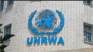 UNRWA acknowledges salary disparity between local staff and international UN counterparts, addressing and calls for equal pay
