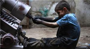 Jordanian Labor Watch calls for addressing poverty to reduce child labor in Jordan